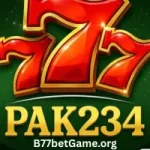 PAK234 Game