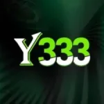 Y333 Game