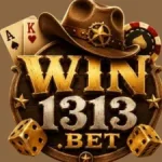 WIN1313