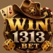WIN1313